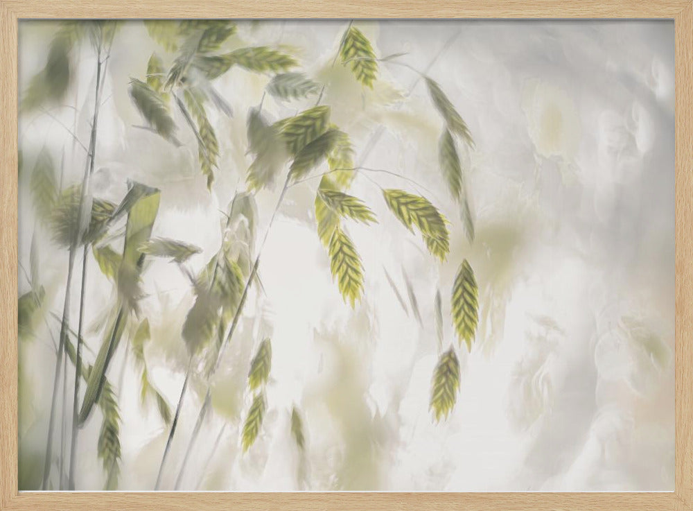 Grass blades | Poster