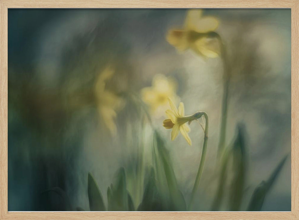 Am Morgen | Poster