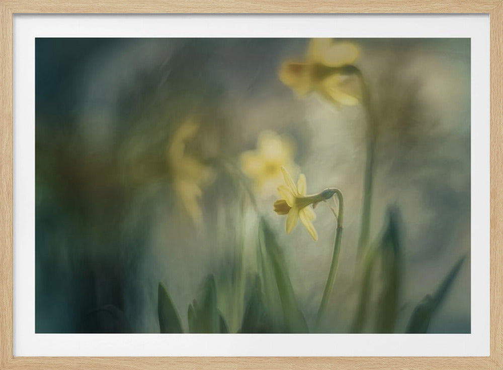 Am Morgen | Poster