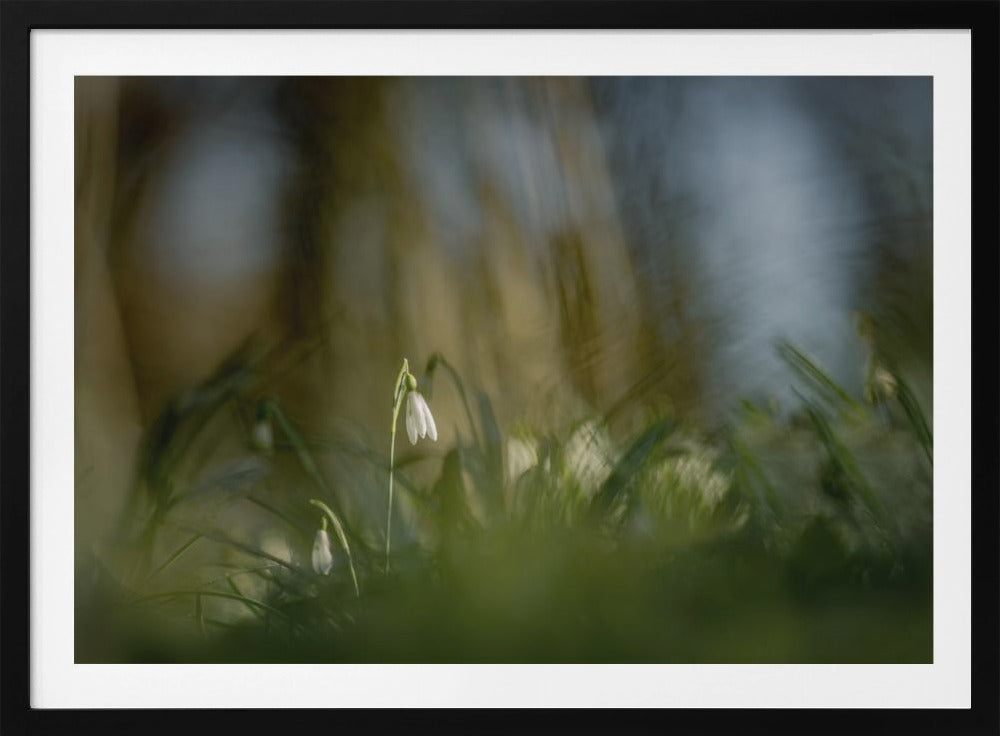 Fast allein... | Poster
