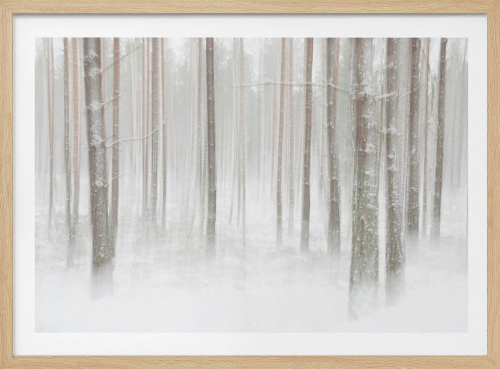 Winterwald in Schweden | Poster