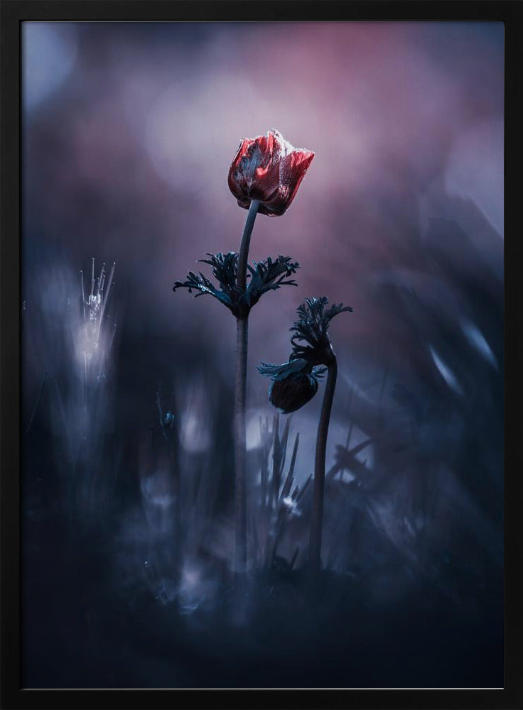 Frühes Mädchen | Poster