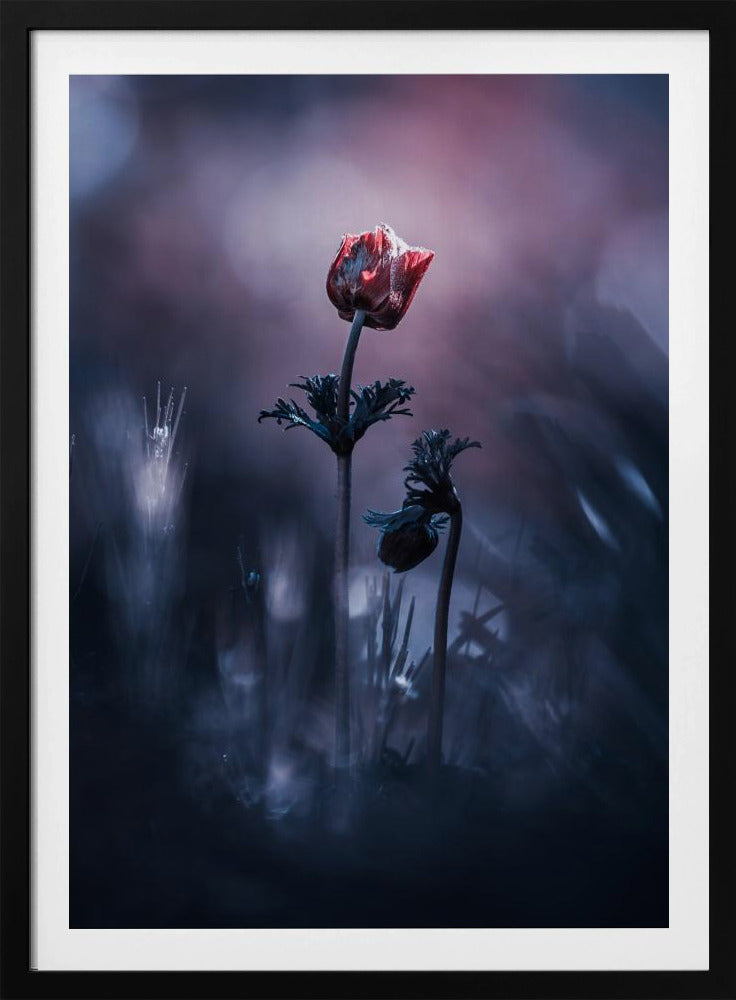 Frühes Mädchen | Poster