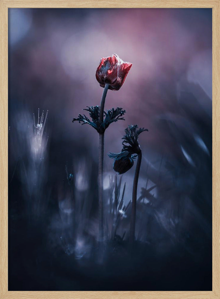 Frühes Mädchen | Poster