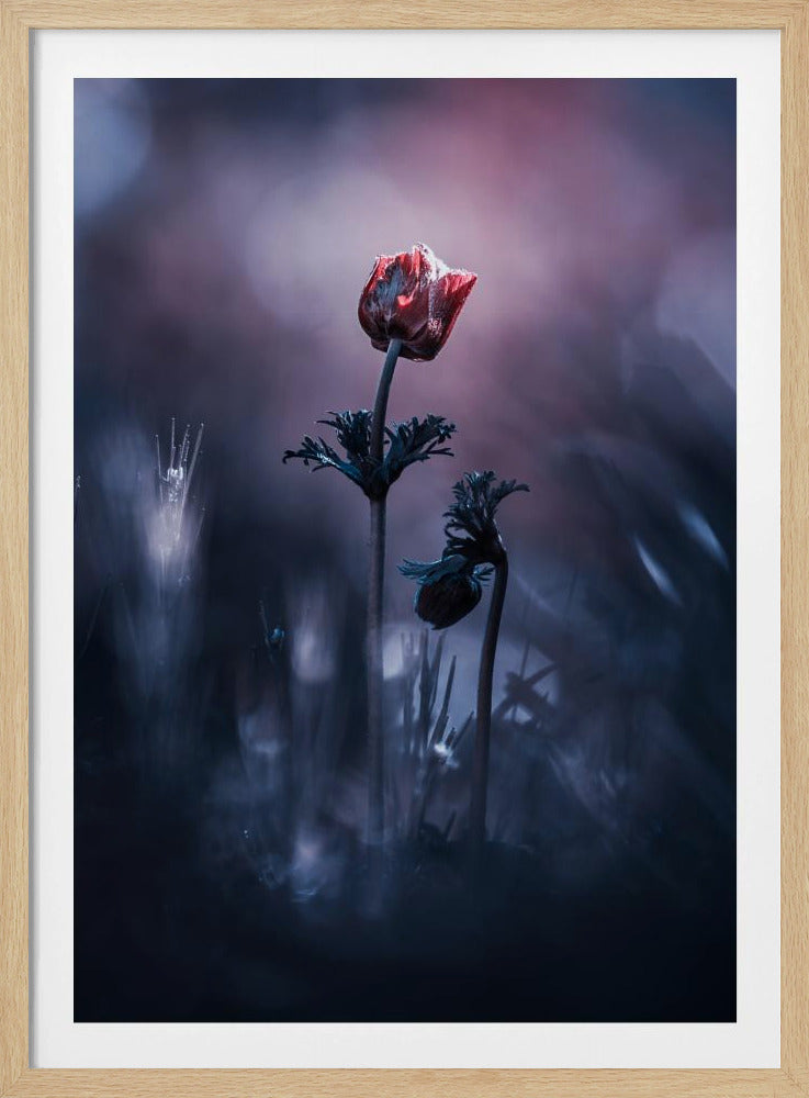 Frühes Mädchen | Poster