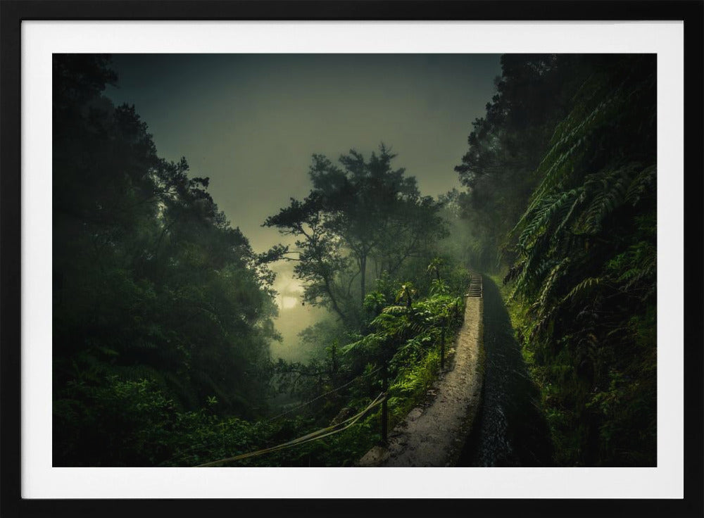 Levada-Wanderung | Poster