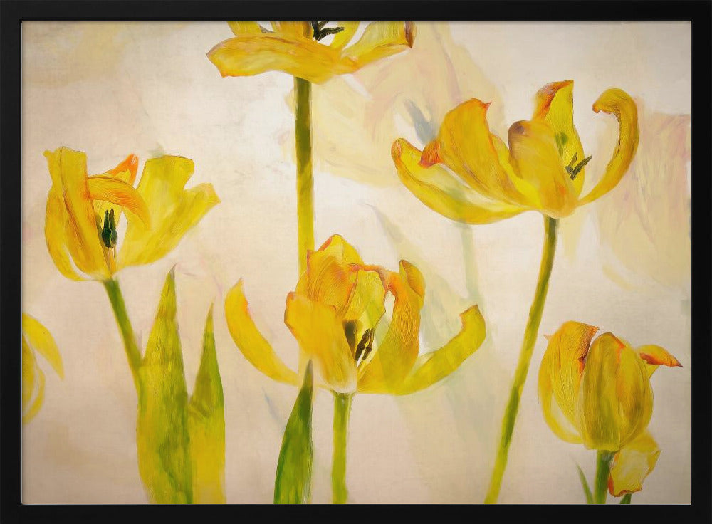 Flowering tulips | Poster