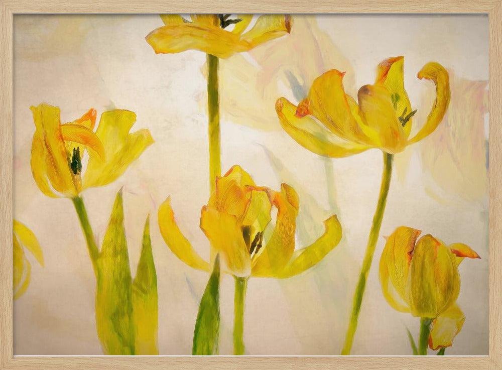 Flowering tulips | Poster