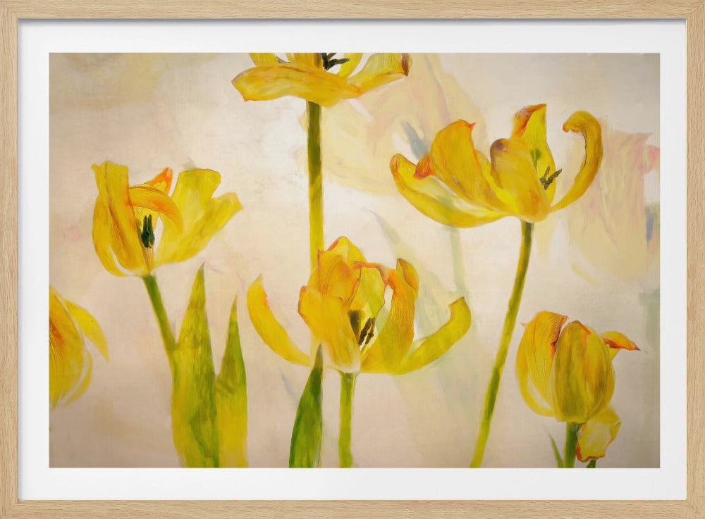 Flowering tulips | Poster