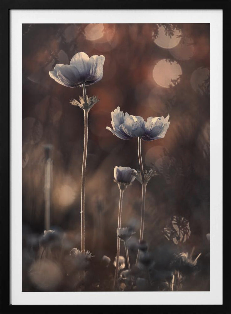 Ensemble | Plakat