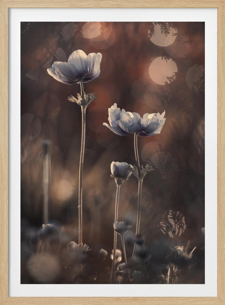 Ensemble | Plakat