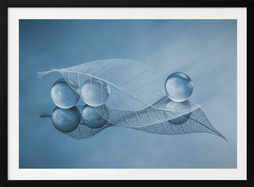Trockenes Blatt und Blasen | Poster