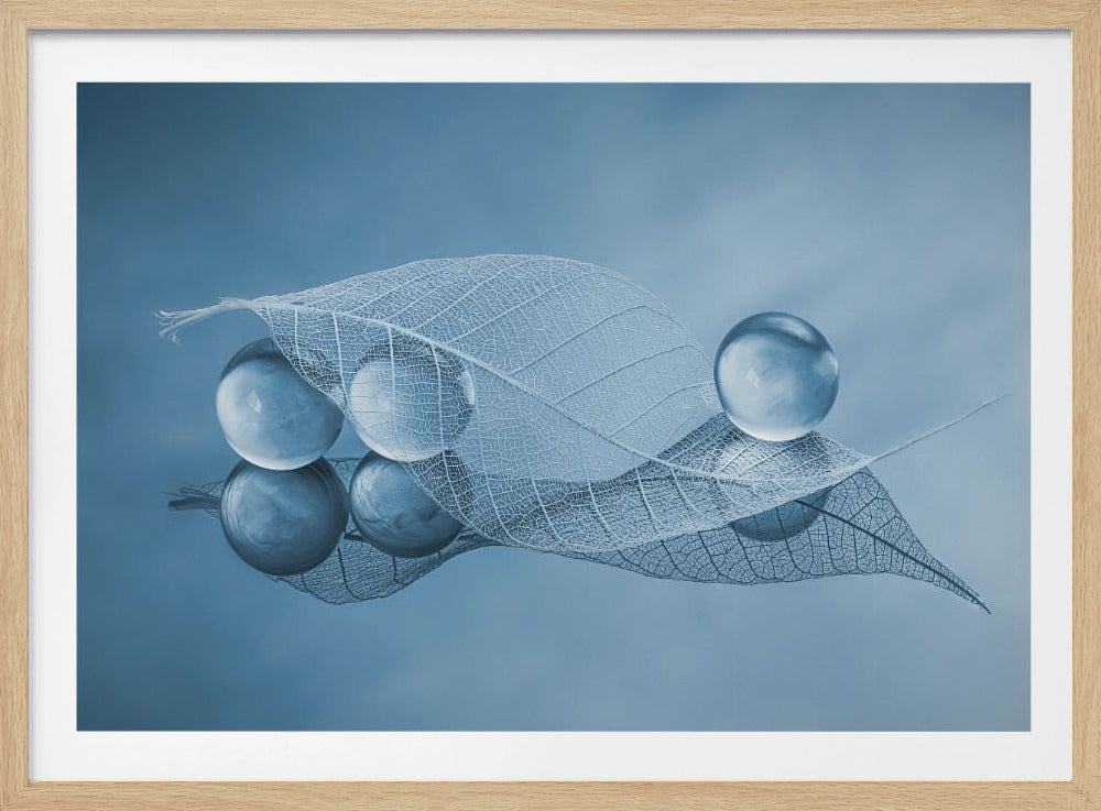 Trockenes Blatt und Blasen | Poster