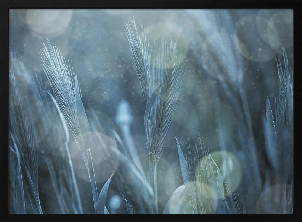 Fantastische Natur | Poster