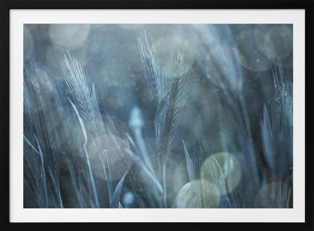Fantastische Natur | Poster