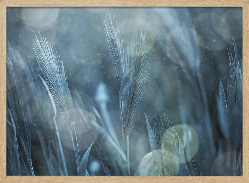 Fantastische Natur | Poster