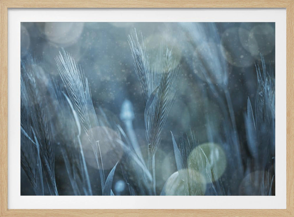 Fantastische Natur | Poster