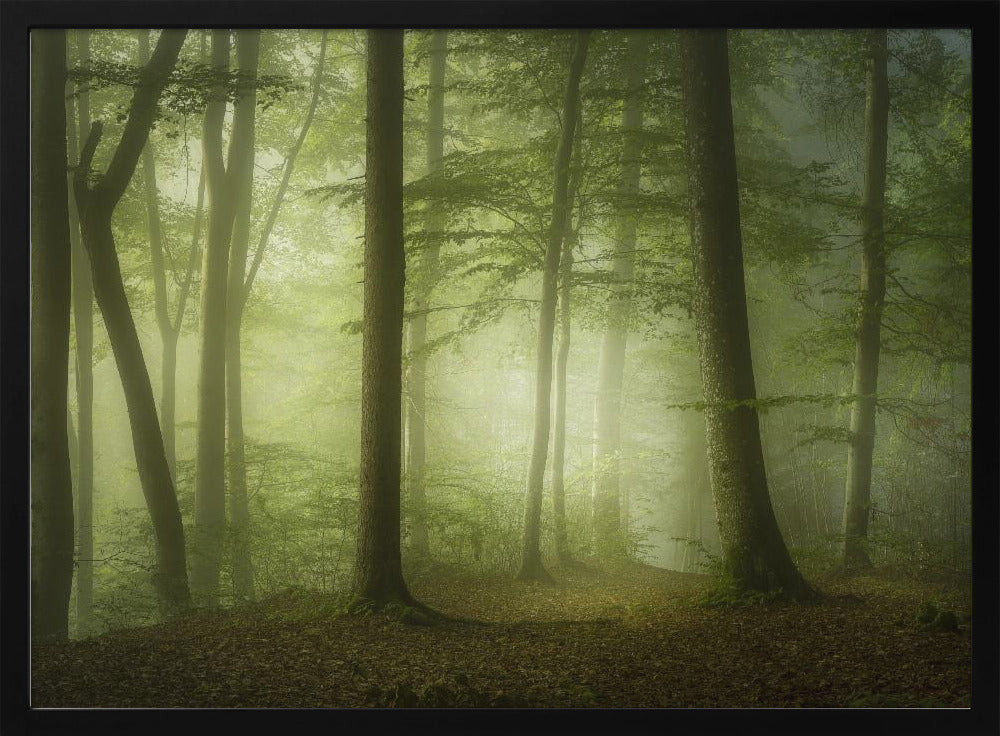 Mysterious Spring Morning | Poster