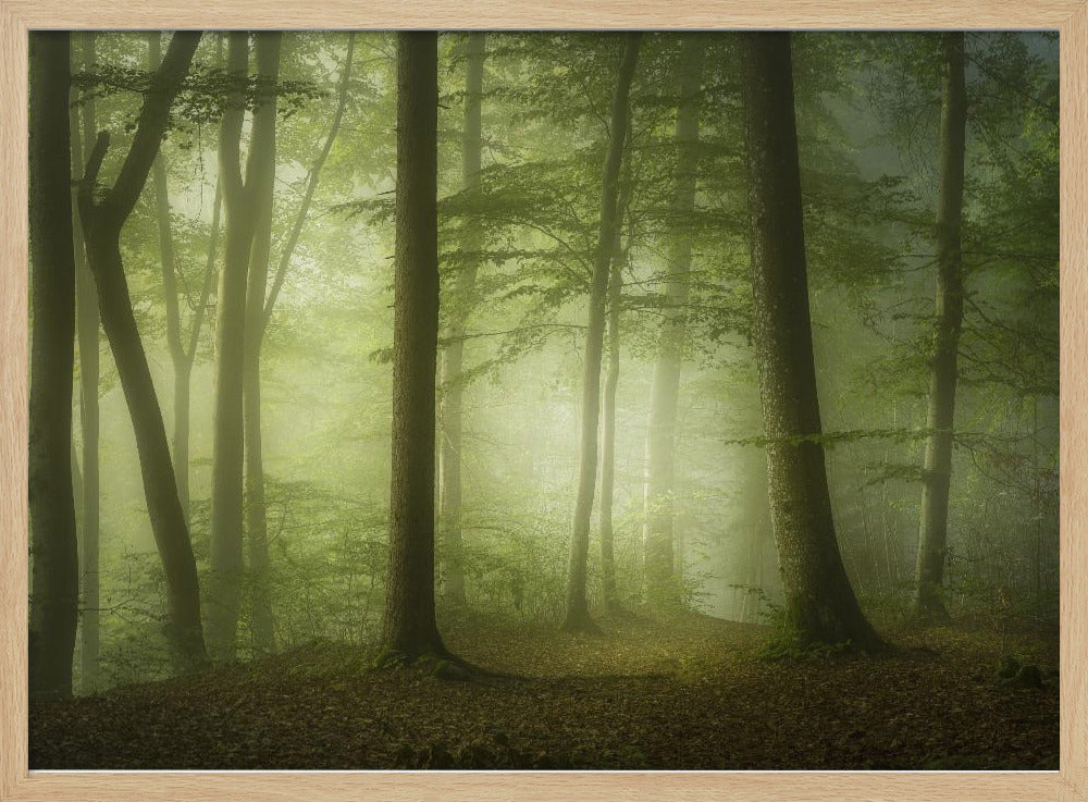 Mysterious Spring Morning | Poster