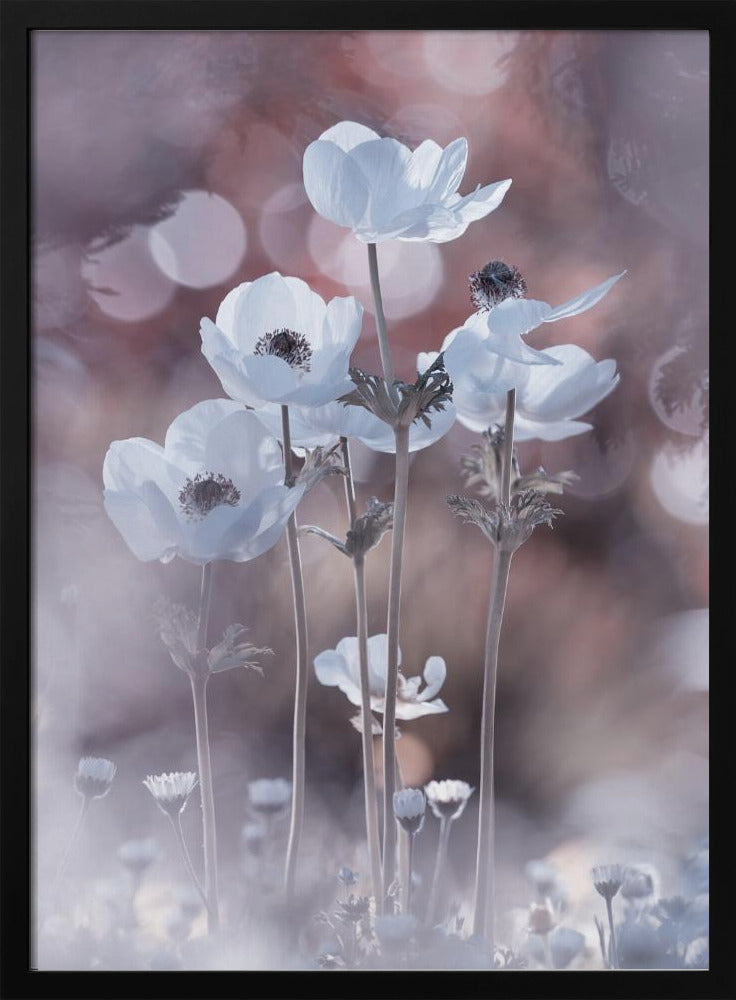 Alle Blumen aller Morgen sind in den Samen von heute | Poster