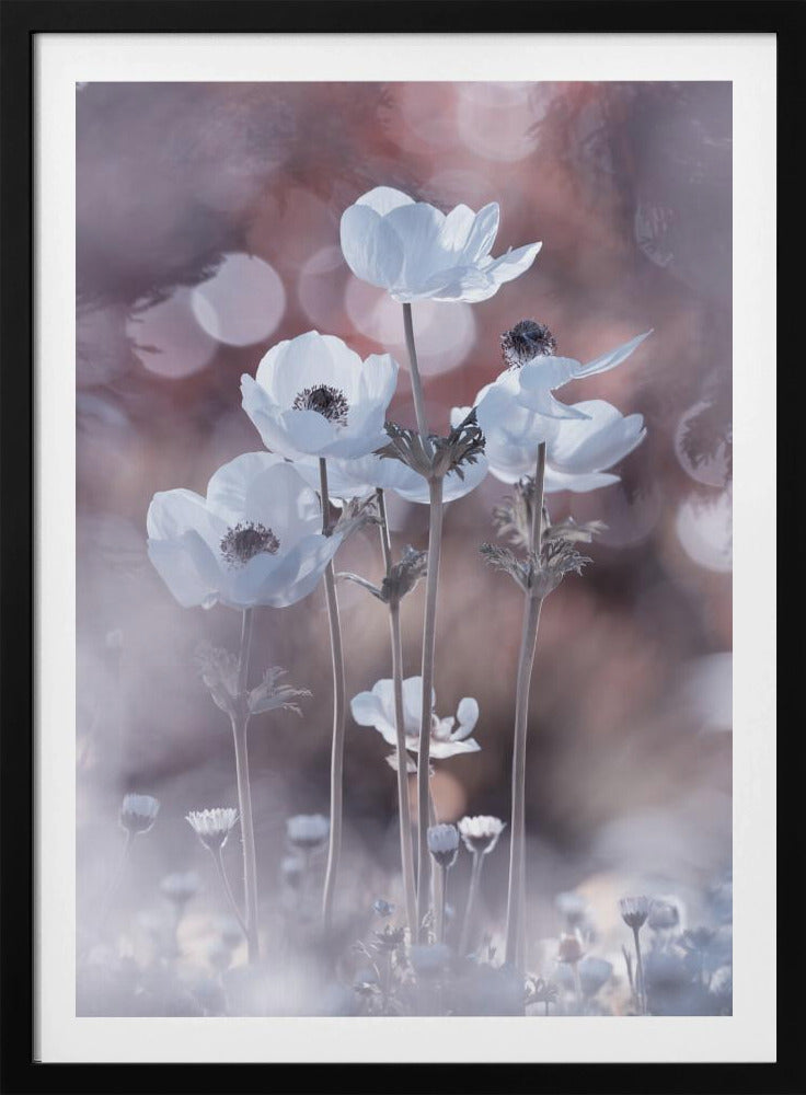 Alle Blumen aller Morgen sind in den Samen von heute | Poster