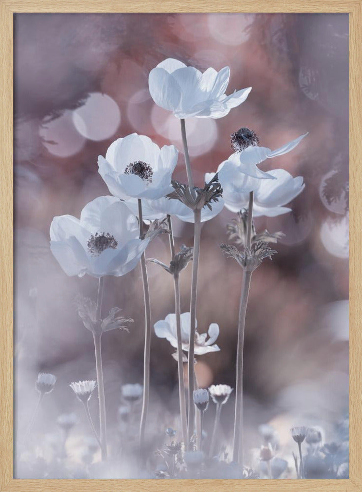 Alle Blumen aller Morgen sind in den Samen von heute | Poster