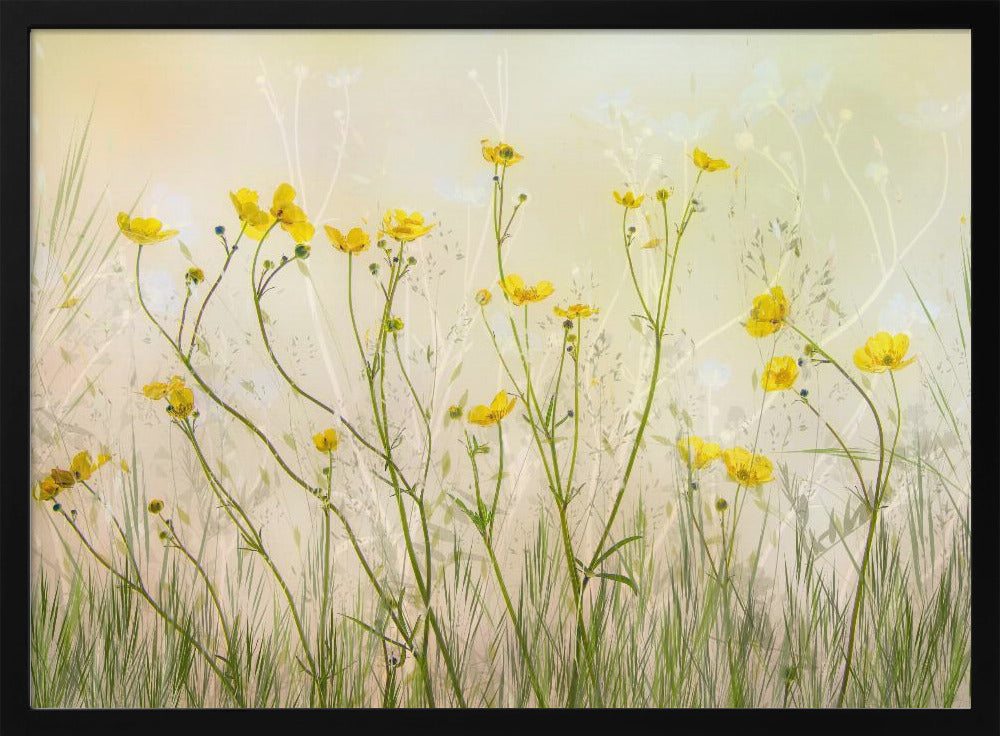 Good morning! | Poster