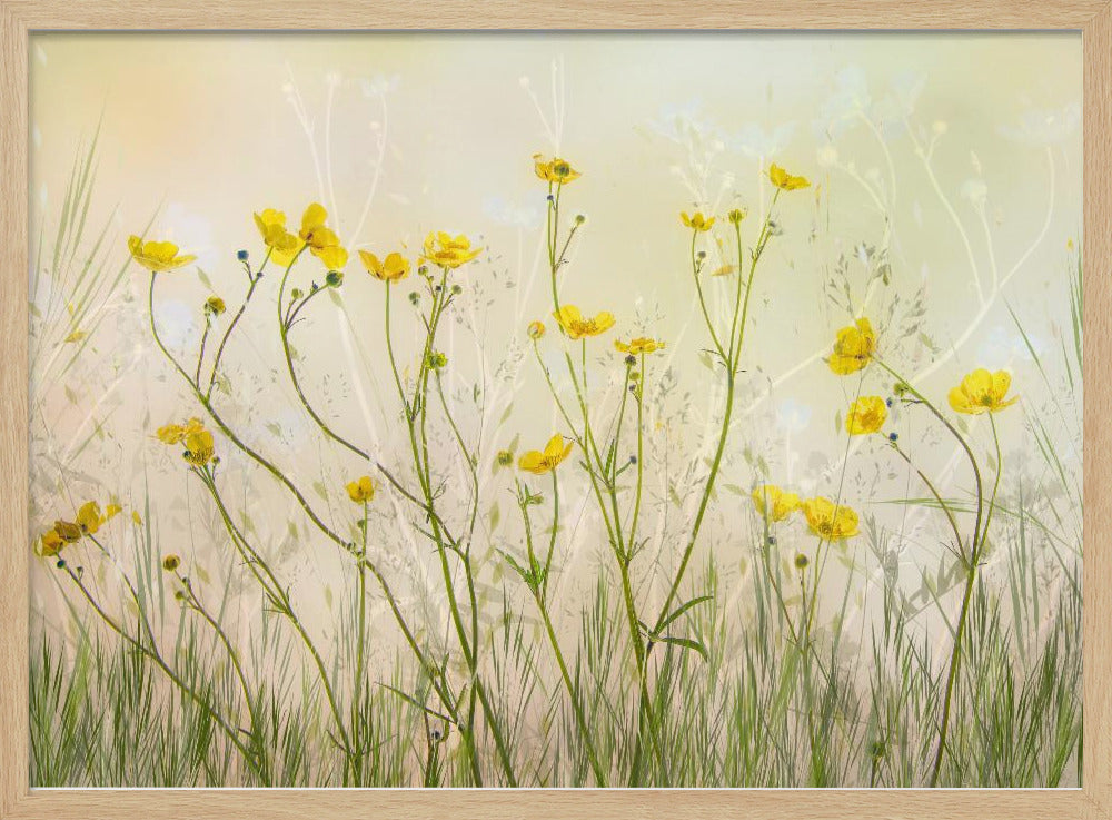 Good morning! | Poster