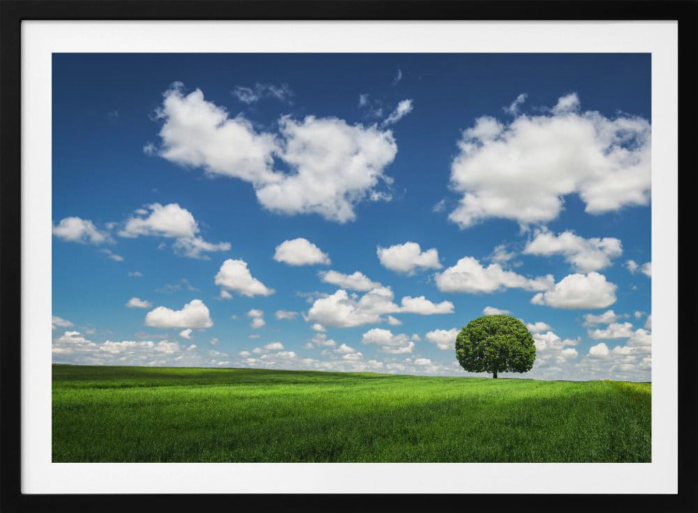 Einsamer Baum | Poster
