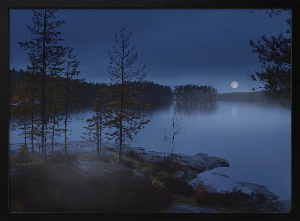 Nachtnebel | Poster