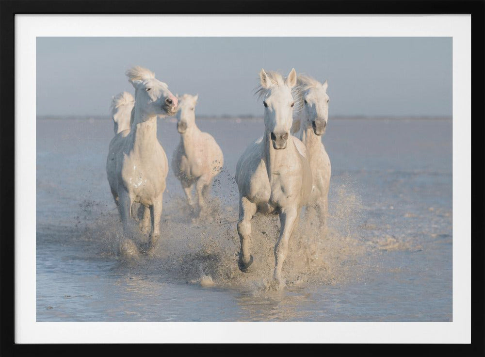 horses | Poster