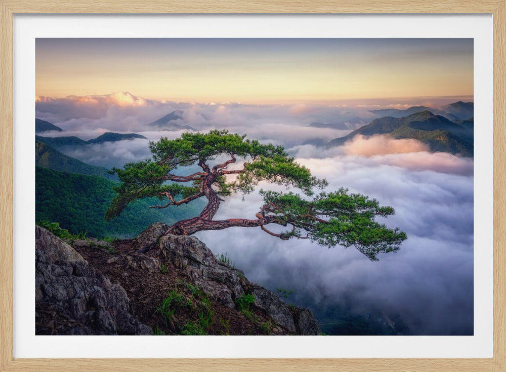 Auf dem Felsen | Poster