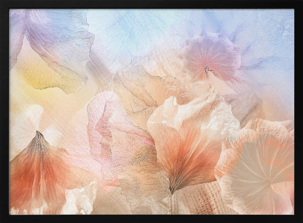 Ätherische Blumen | Poster