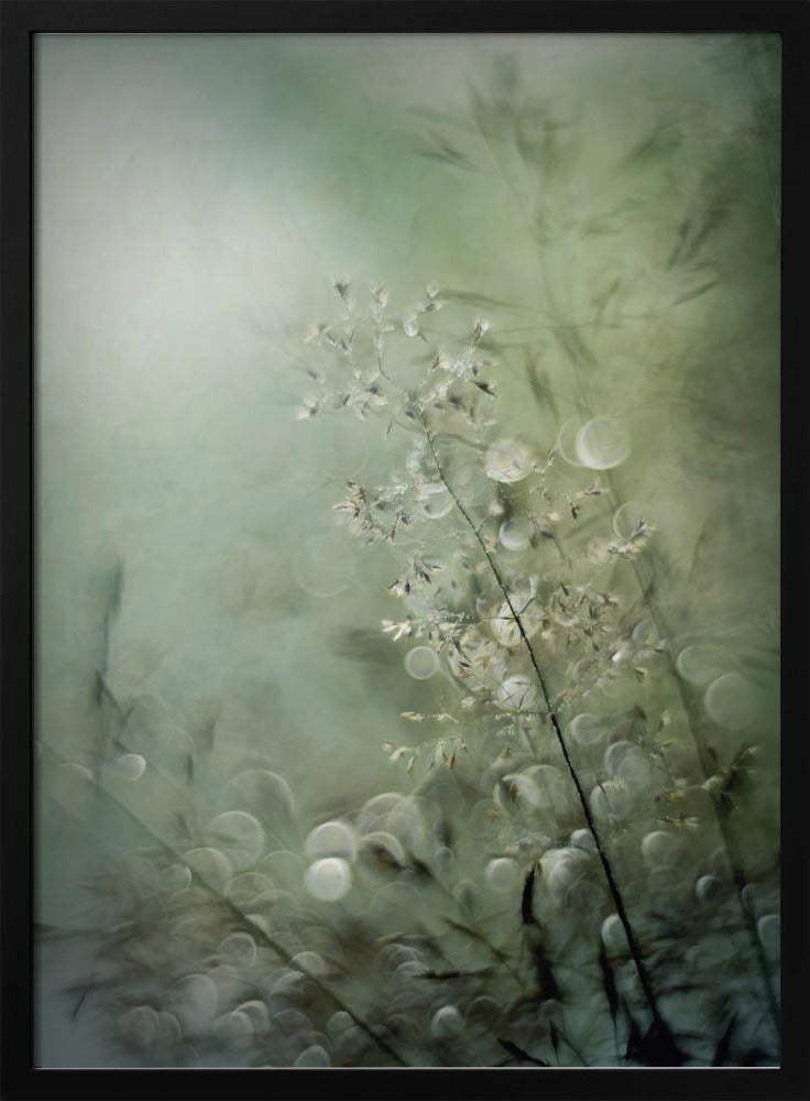 Grasses | Poster