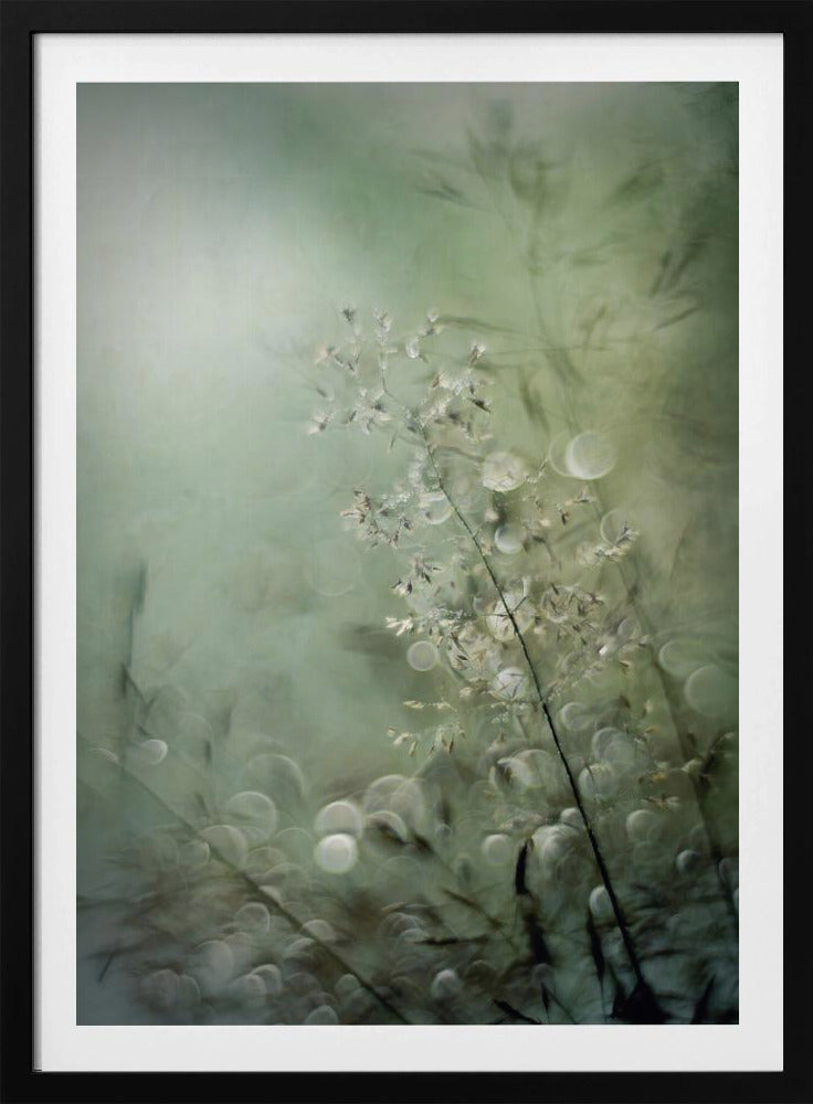 Grasses | Poster