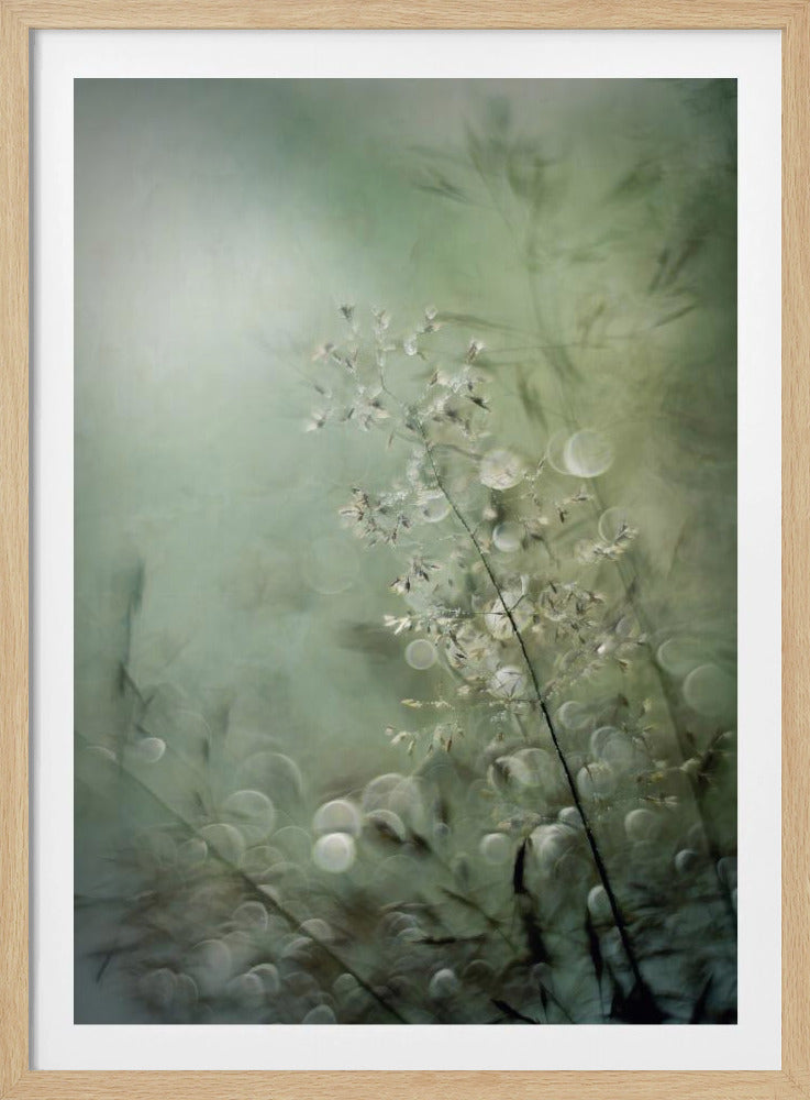 Grasses | Poster