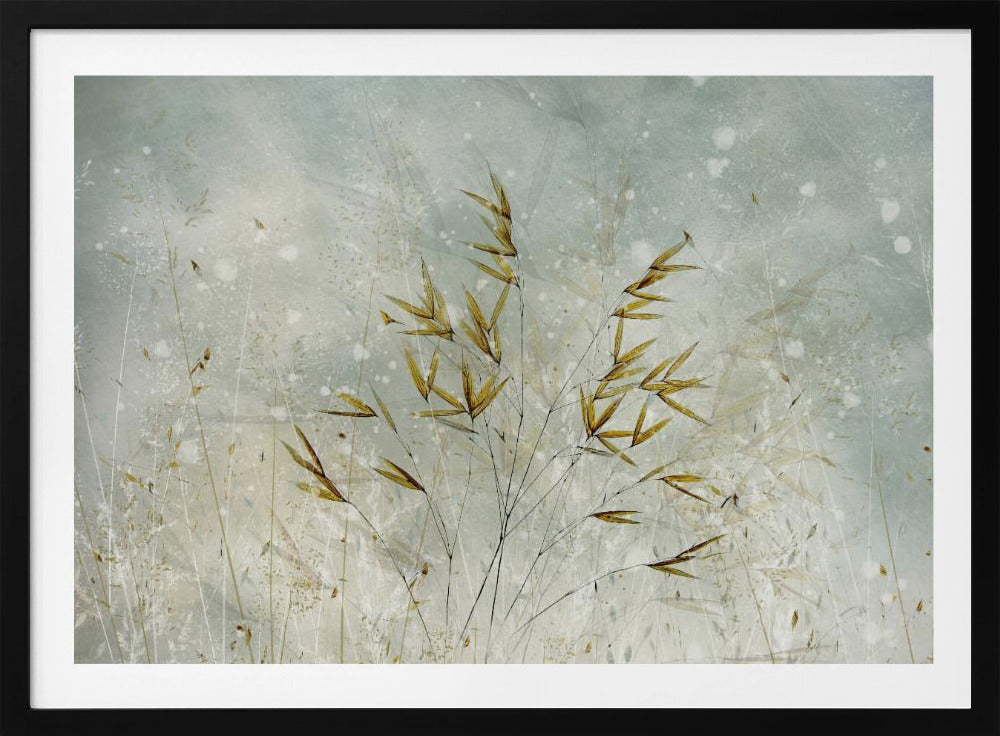 Wintertime | Poster