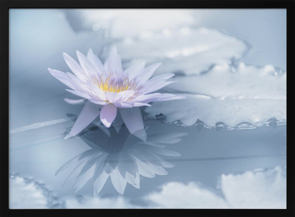 Reflexion | Poster