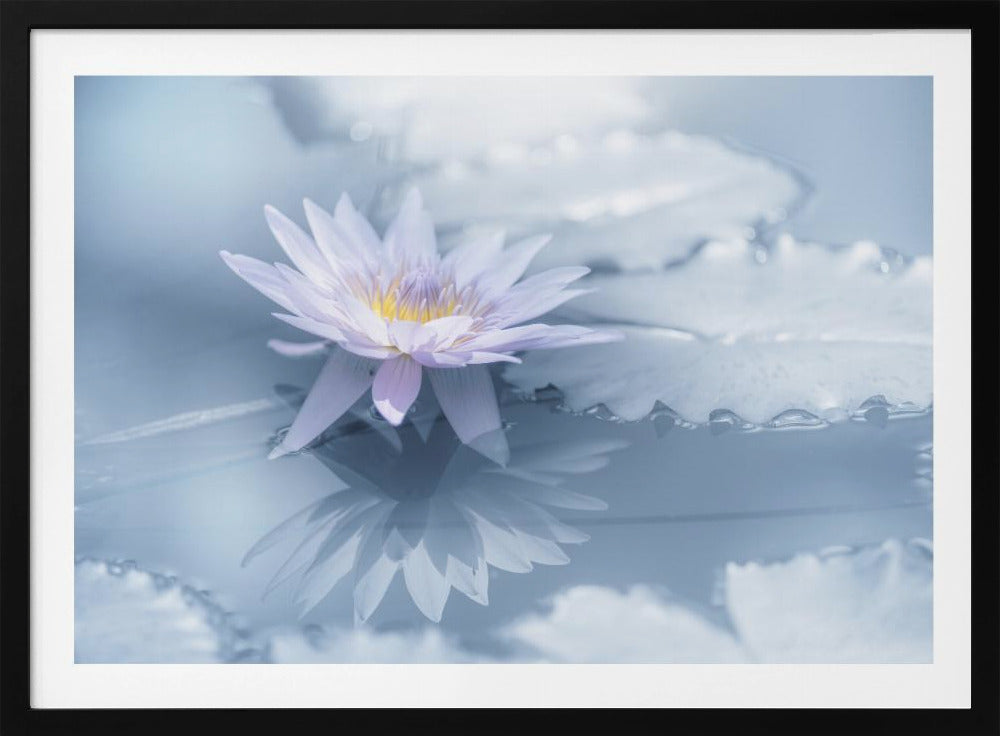 Reflexion | Poster