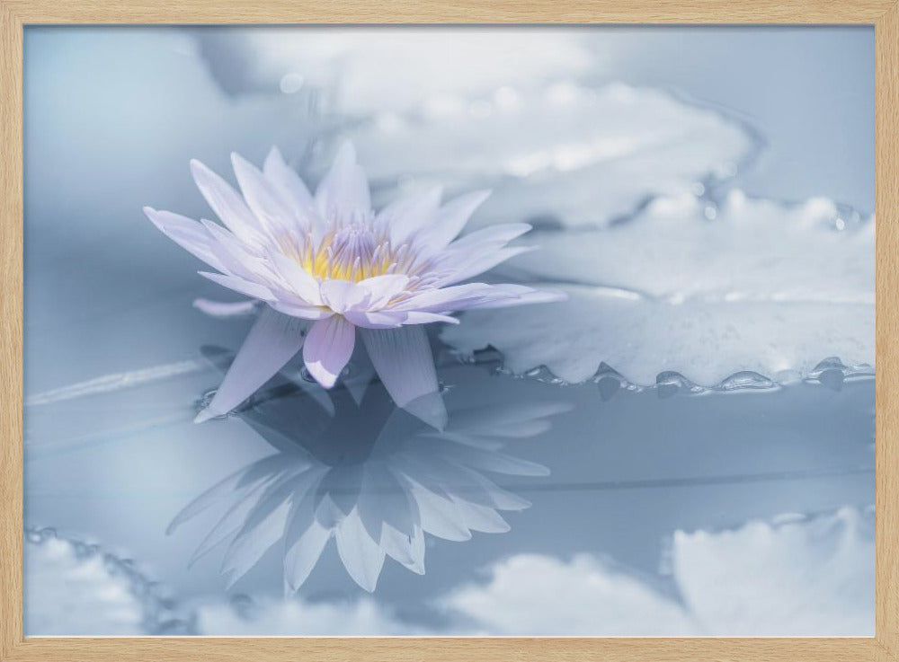 Reflexion | Poster