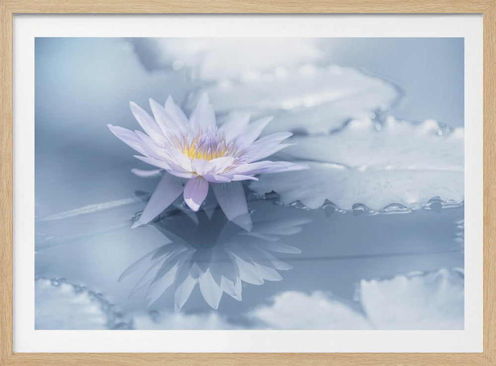 Reflexion | Poster
