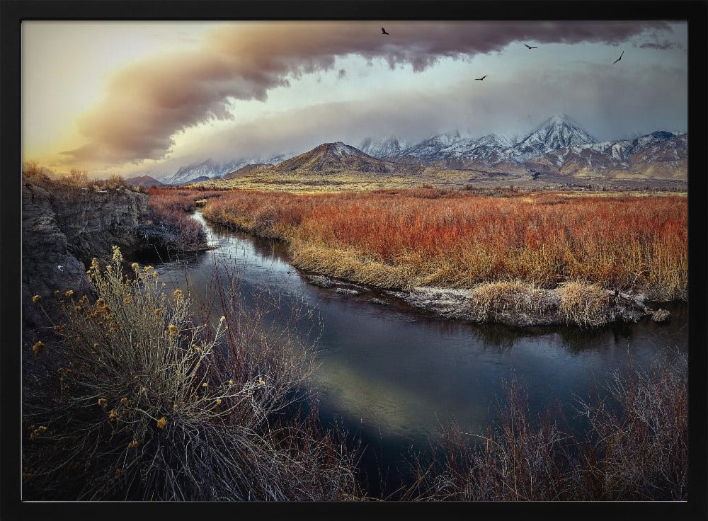 Owens River bei Sonnenaufgang | Poster
