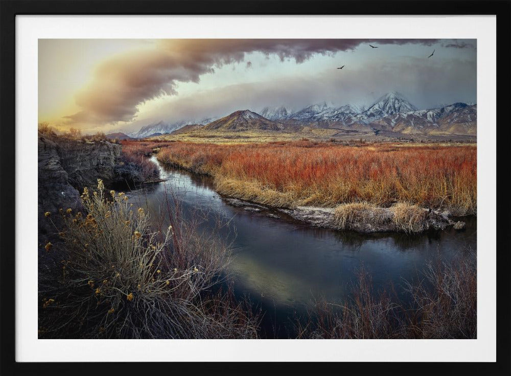 Owens River bei Sonnenaufgang | Poster