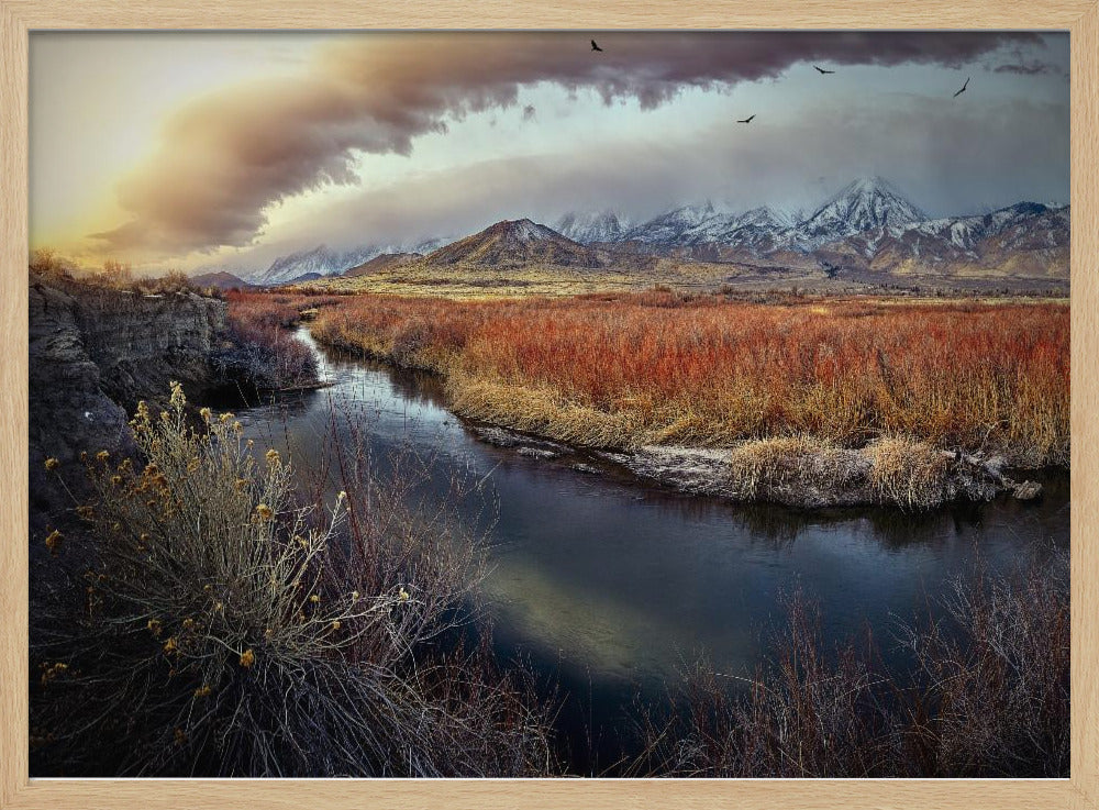 Owens River bei Sonnenaufgang | Poster
