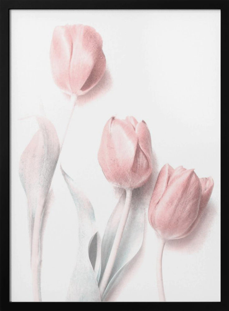 Süßes Pink | Poster