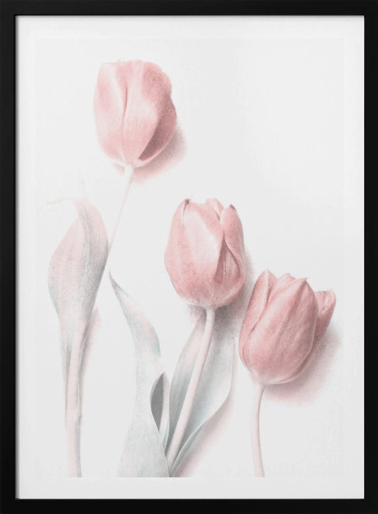 Süßes Pink | Poster