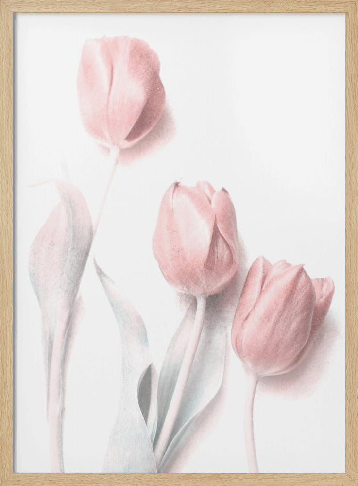 Süßes Pink | Poster