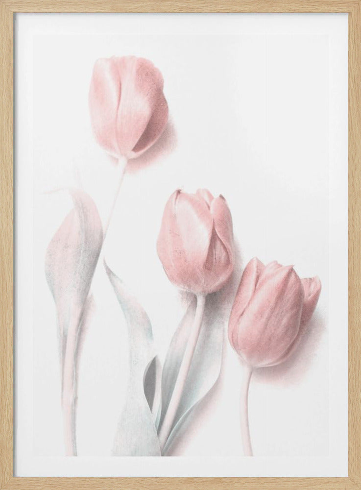 Süßes Pink | Poster