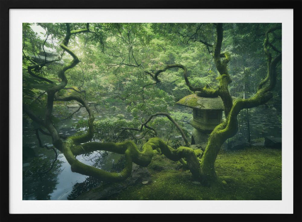 Japanischer Baum | Poster