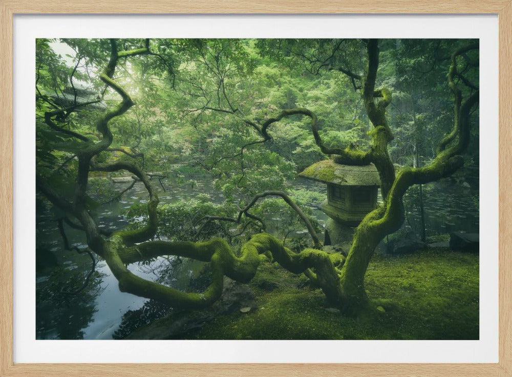 Japanischer Baum | Poster